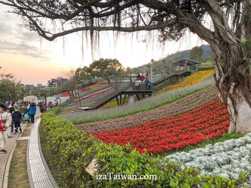 花現三層崎公園：台版富良野花海，賞花攻略