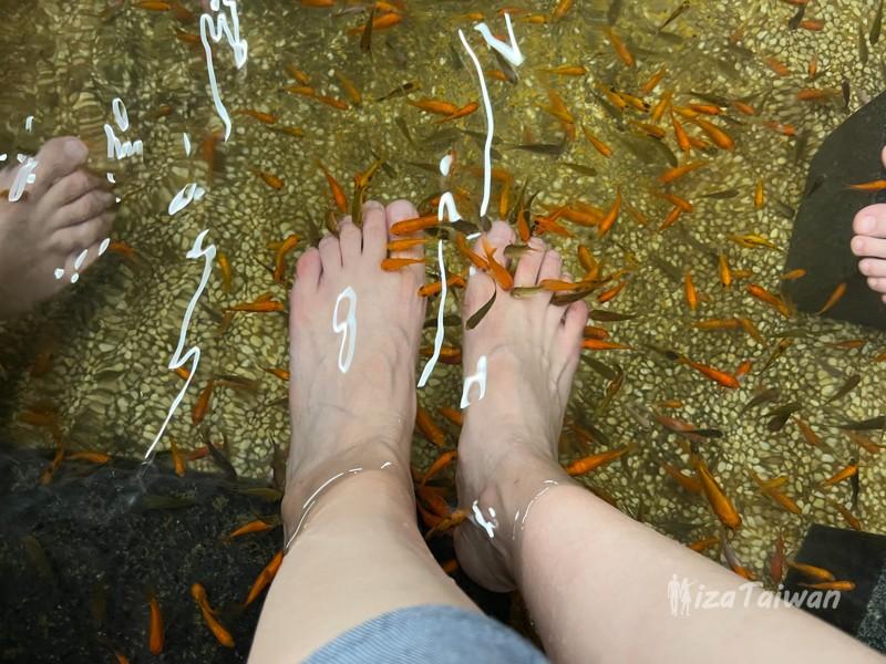 Jiaoxi's "Heavy Taste" Hot Spring Fish: A Unique Tingling Sensation!