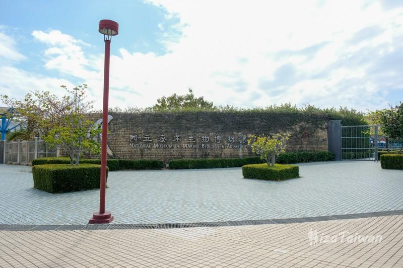 國立海洋生物博物館:一座博物館,裝滿全世界的海洋,來吧!一起聽見海洋的呼吸